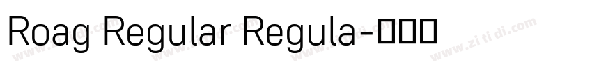 Roag Regular Regula字体转换